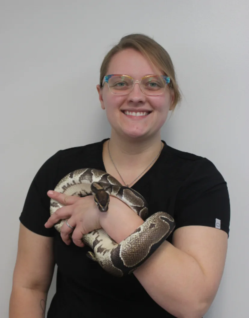 Emily New Haven Pet Hospital holding a snake
